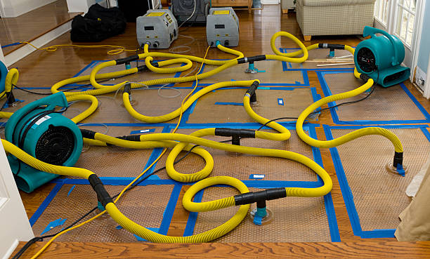 Professional Water Damage Repair technician working in Long Beach, MD